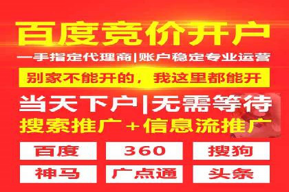 百度竞价公司运营策略：成功案例解析